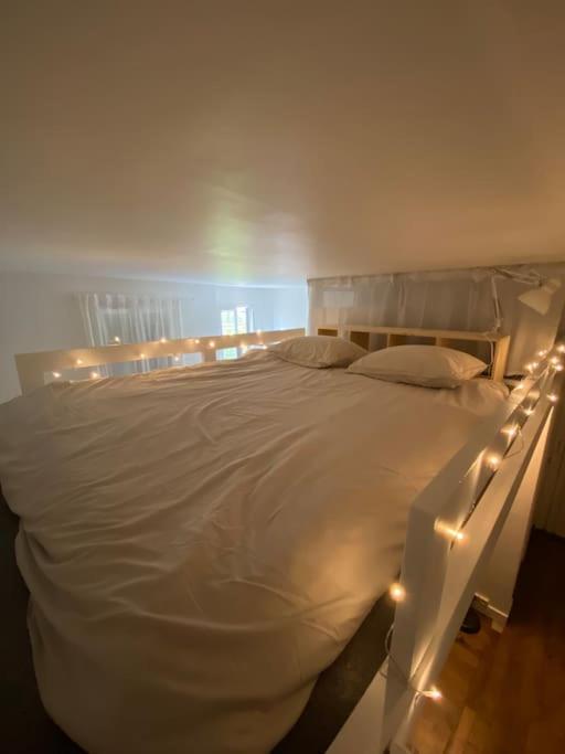 Appartement De Charme Pres Du Stade De France Saint-Denis  Eksteriør billede